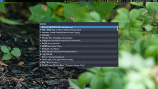 The Catbird Linux Desktop and Rofi menu.