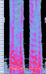 voice spectrum closeup